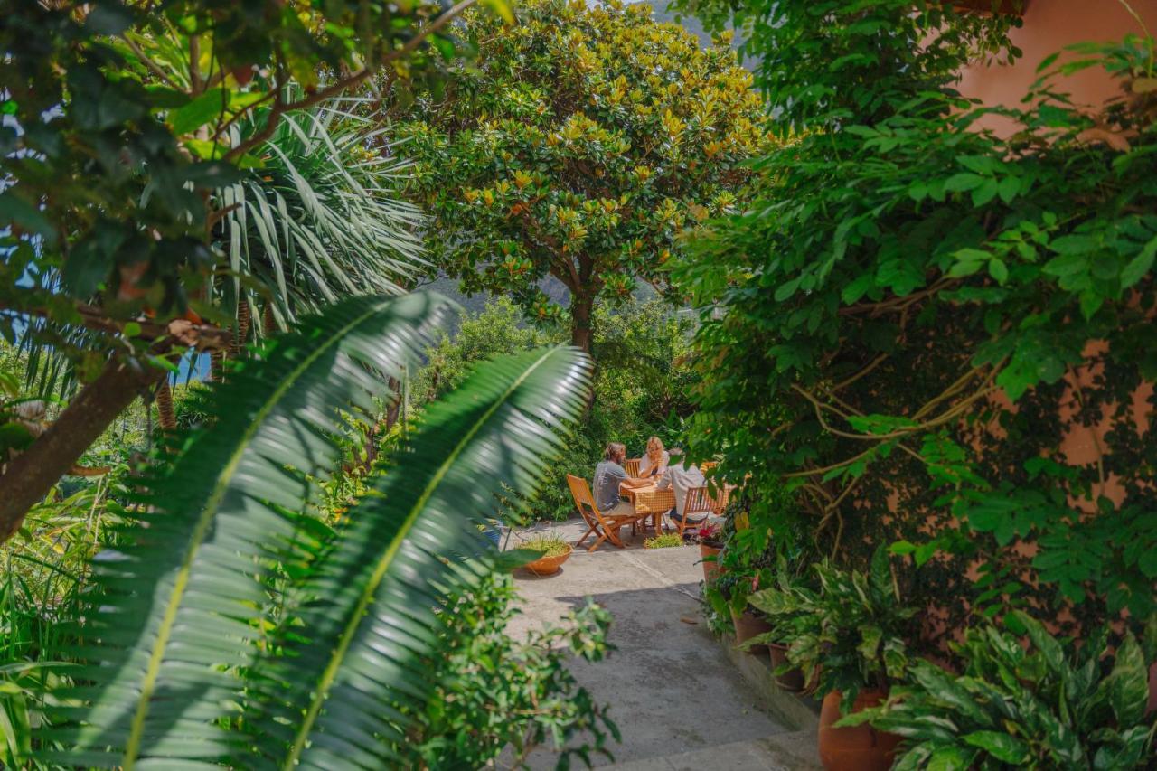 Madeira Surf Lodge São Vicente Εξωτερικό φωτογραφία