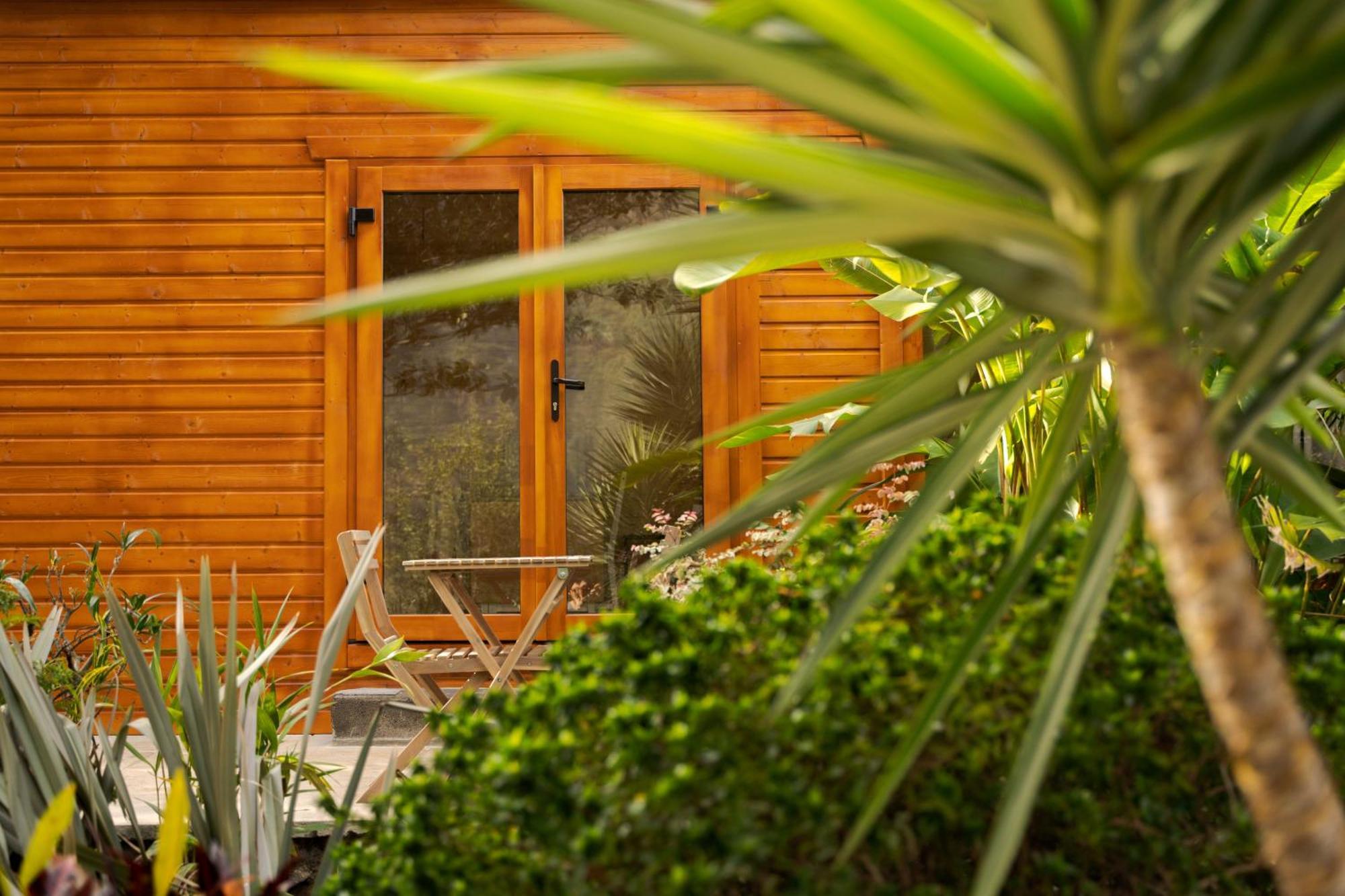 Madeira Surf Lodge São Vicente Εξωτερικό φωτογραφία
